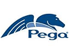 Pegasystems